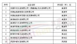 中材、中联水泥等13家企业被列审核名单