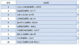 哪家水泥品牌能代表国内的先进水平