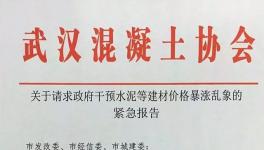 协会发文:请求政府干预水泥价格暴涨乱象！(附文件)